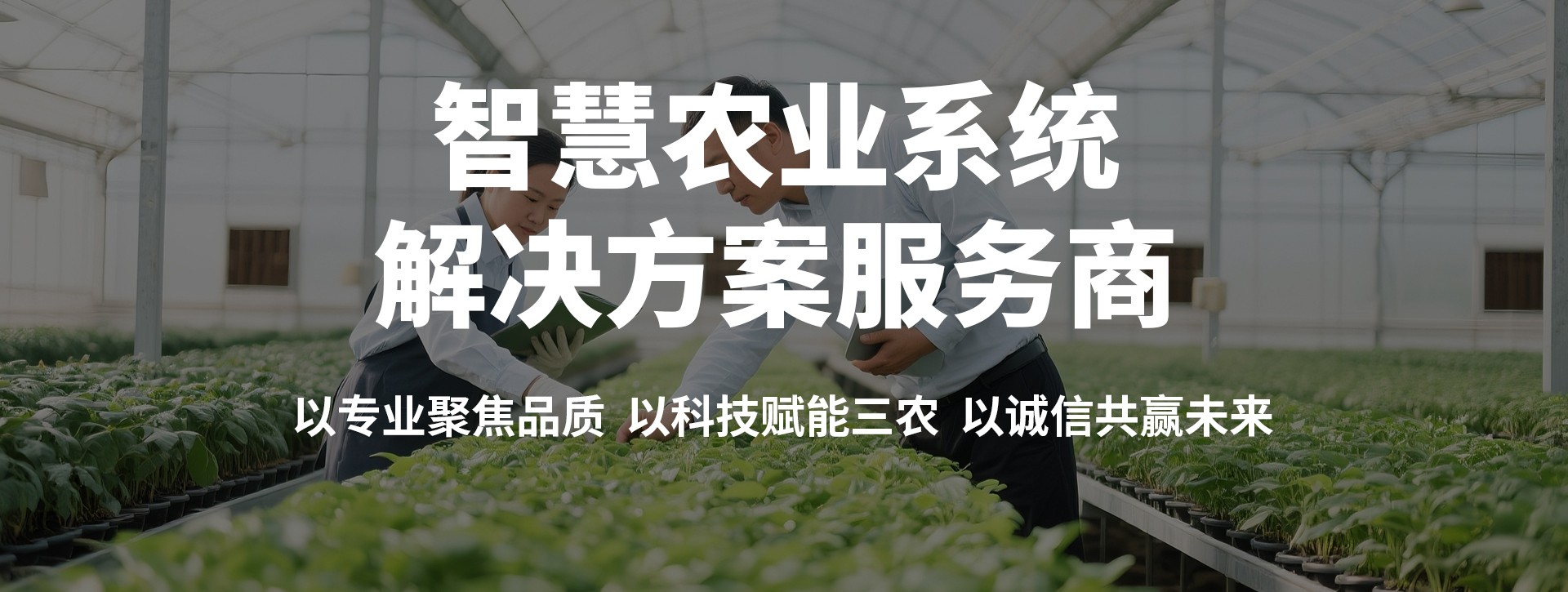 �ӱ����������O�����޹�˾